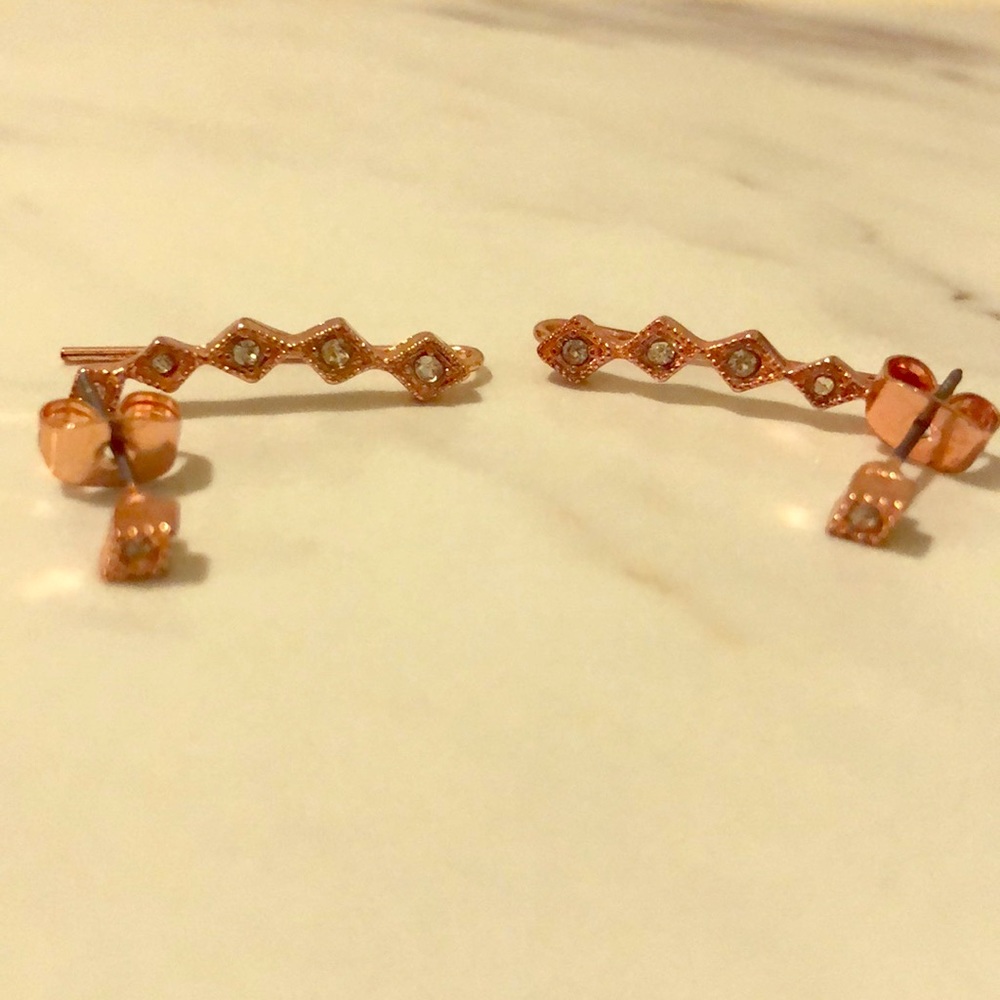 FabFitFun Rose Gold Ear Crawler and Stud Set